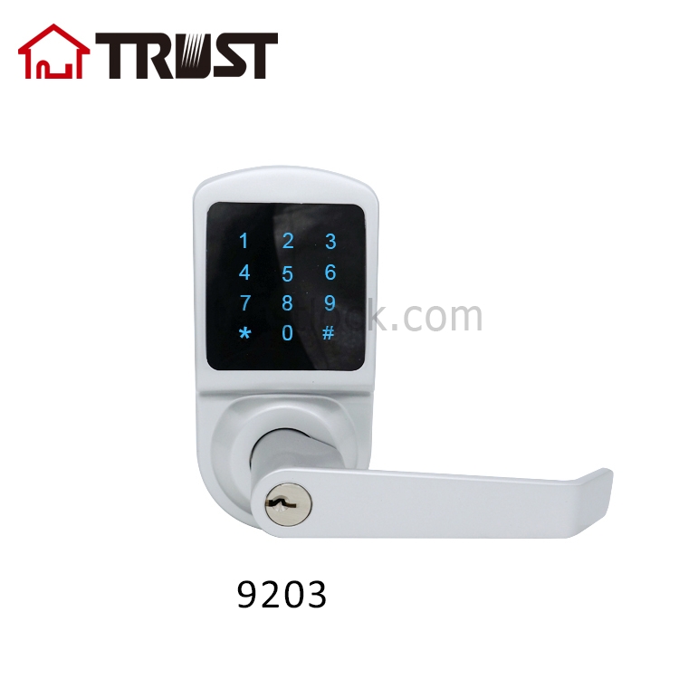 TRUST 9203-SN Hot Sale Password Keypad Smart Door Lock With Handle ...